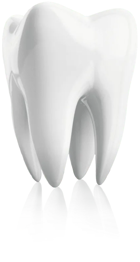 tooth